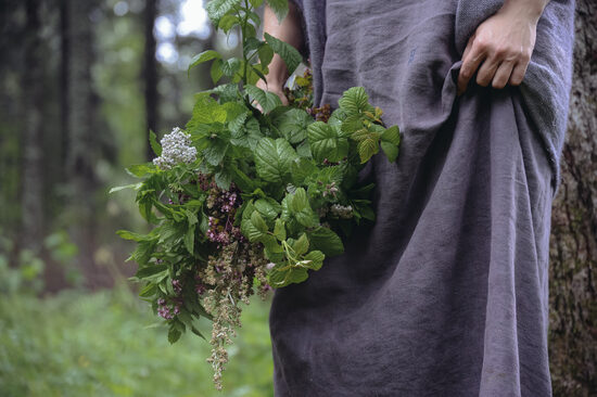 Ekskursijas saimniecībā